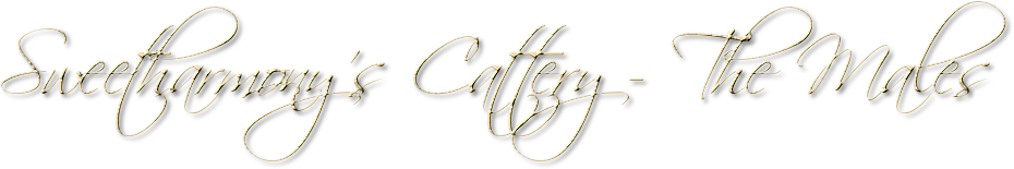 Sweetharmony stud males, Kater